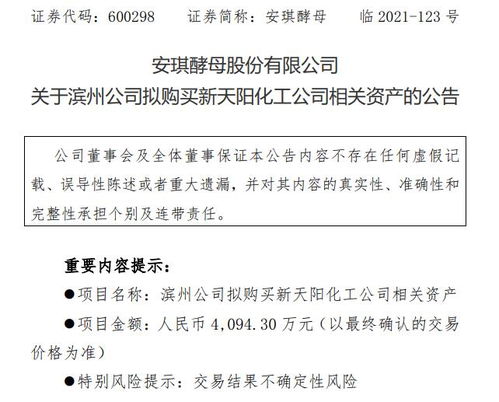 安琪酵母子公司擬購入新天陽化工相關資產(chǎn) 進一步優(yōu)化產(chǎn)業(yè)布局